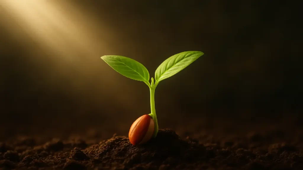 Como escolher um nicho para empreender online: imagem de muda crescendo no solo representando o início de um negócio com propósito